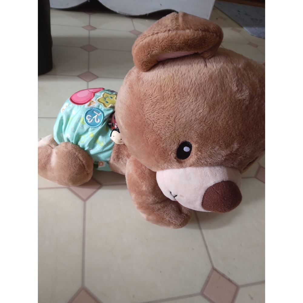 VTech Explore and Crawl Learning Cub-Crawling Bear With Lights And Sounds-HTF